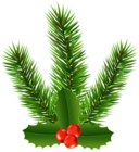 Pine Branch with Holly Clip Art Image