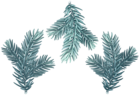 Pine Branches Blue Set Clip Art Image