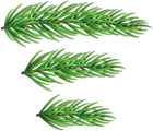 Pine Branches Christmas PNG Clipart