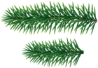 Pine Branches Clip Art