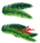 Pine Branches Decoration PNG Picture