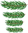 Pine Branches Green PNG Clipart