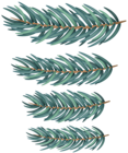 Pine Branches PNG Clipart