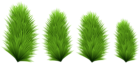 Pine Branches PNG Transparent Clip Art