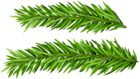 Pine Branches Set Clip Art Image