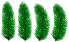 Pine Branches Transparent Clip Art Image