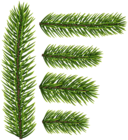 Pine Branches Transparent PNG Clip Art