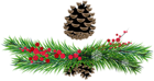 Pine Branches and Pine Cones PNG Picture