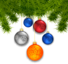 Pine Branches with Christmas Balls PNG Clipart Image