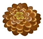 Pine Cone PNG Clipart