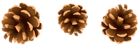 Pine Cones PNG Clipart