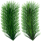 Pine Green Branches Clip Art