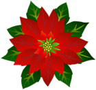 Poinsettia PNG Clipart