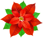 Poinsettia Transparent PNG Image