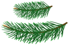 Realistic Pine Branches Transparent Clipart