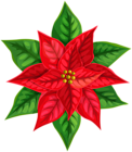 Red Christmas Poinsettia Clip Art Image