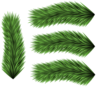 Set of Pine Branches Clip Art Image