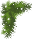 Snowy Pine Branch PNG Picture