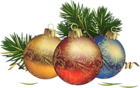 Transparent Christmas Balls with Pine Clipart