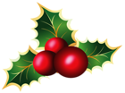 Transparent Christmas Mistletoe PNG Picture