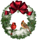 Transparent Christmas Wreath with Birds