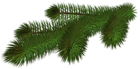 Transparent Pine Branch 3D PNG Picture