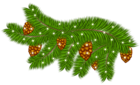 Transparent Pine Branch with Pine Cones PNG Clipart