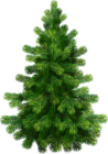 Transparent Pine Tree PNG Clipart
