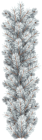 White Pine Branch Clip Art Image