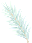 Winter Pine Branch Decor PNG Clipart