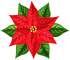 Xmas Poinsettia Red PNG Clipart