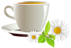 Cup of Coffee and Daisies PNG Clipart