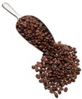 Transparent Coffee PNG Picture