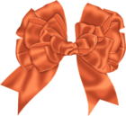 Cute Orange Bow Clipsrt