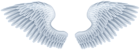 Angel Wings PNG Clip Art Image