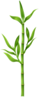 Bamboo Plant PNG Clipart