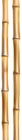 Bamboo Sticks PNG Clip Art Image