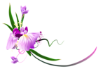 Beautiful Purple Floral Decor PNG Clipart