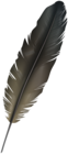 Bird Feather PNG Clipart