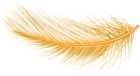 Bird Feather Transparent Image