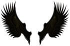 Black Gold Wings PNG Clip Art Image