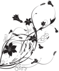 Black White Floral Decoration PNG Clip Art