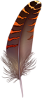 Brown Feather PNG Clip Art