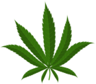 Cannabis Leaf PNG Clipart