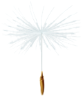 Dandelion PNG Clip Art Image