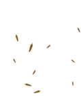 Dandelions Transparent PNG Clip Art Image
