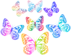 Decorative Multicolored Butterflies PNG Clip Art