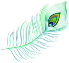 Decorative Peacock Feather PNG Clipart