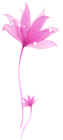 Decorative Pink Flower PNG Transparent Ornament