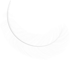Decorative White Feather PNG Clipart